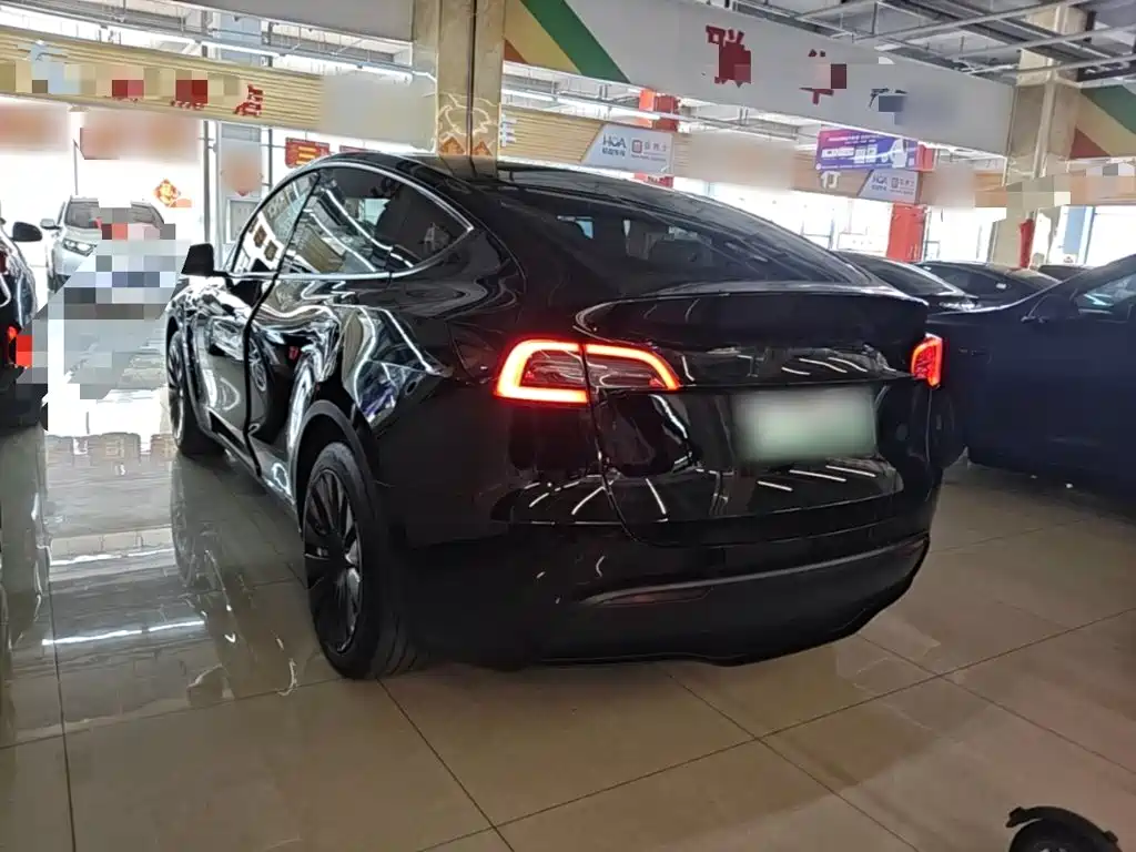 Tesla Model Y — миниатюра 5