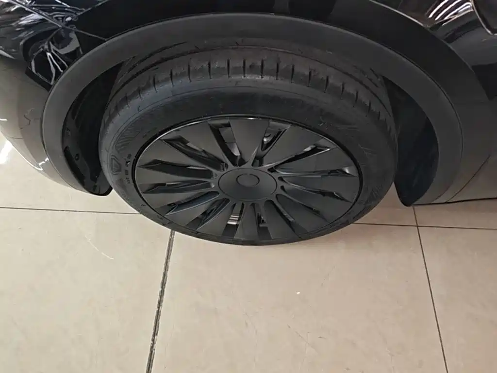 Tesla Model Y — миниатюра 23
