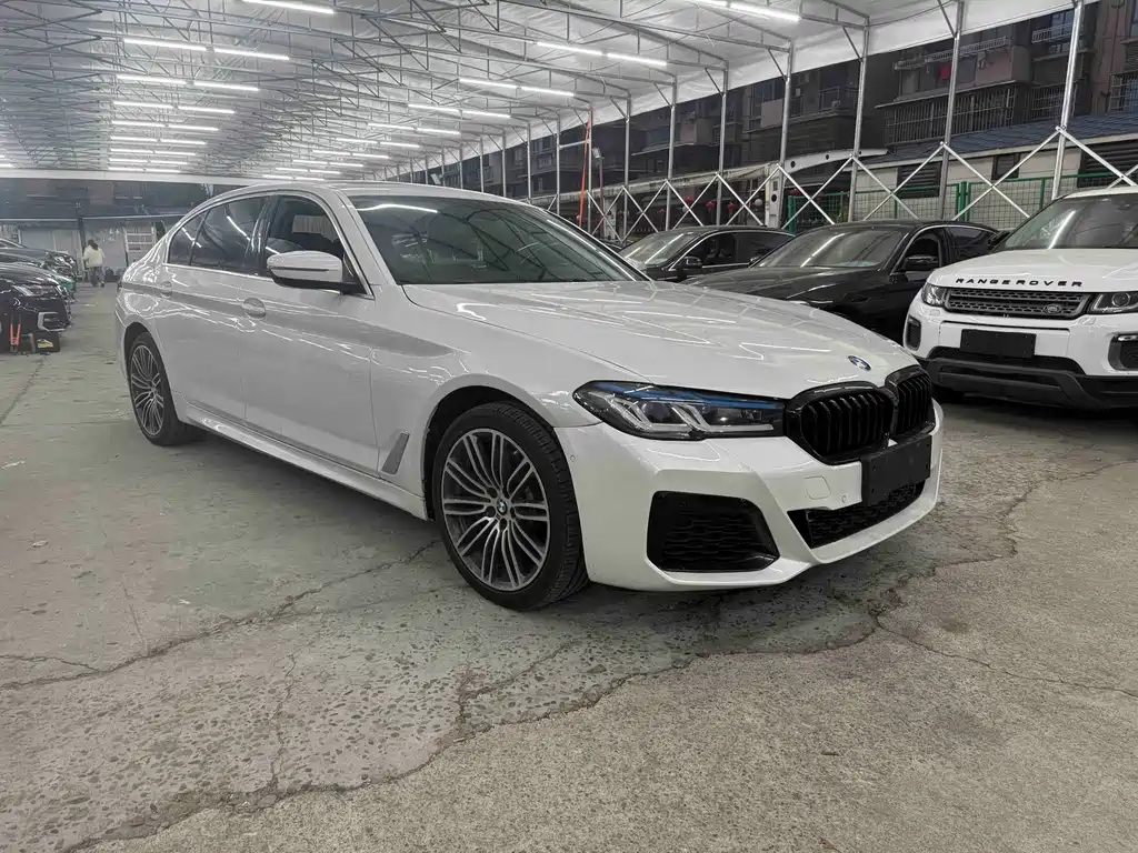 BMW 5 Series 2020