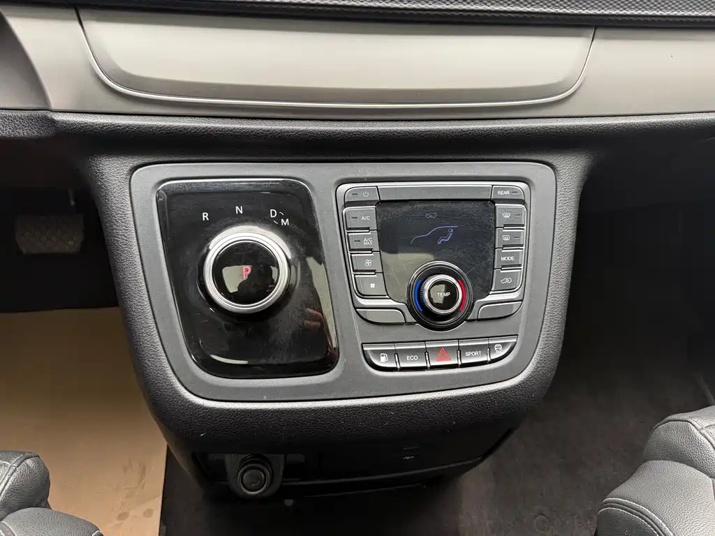 SAIC MAXUS CHASE G20