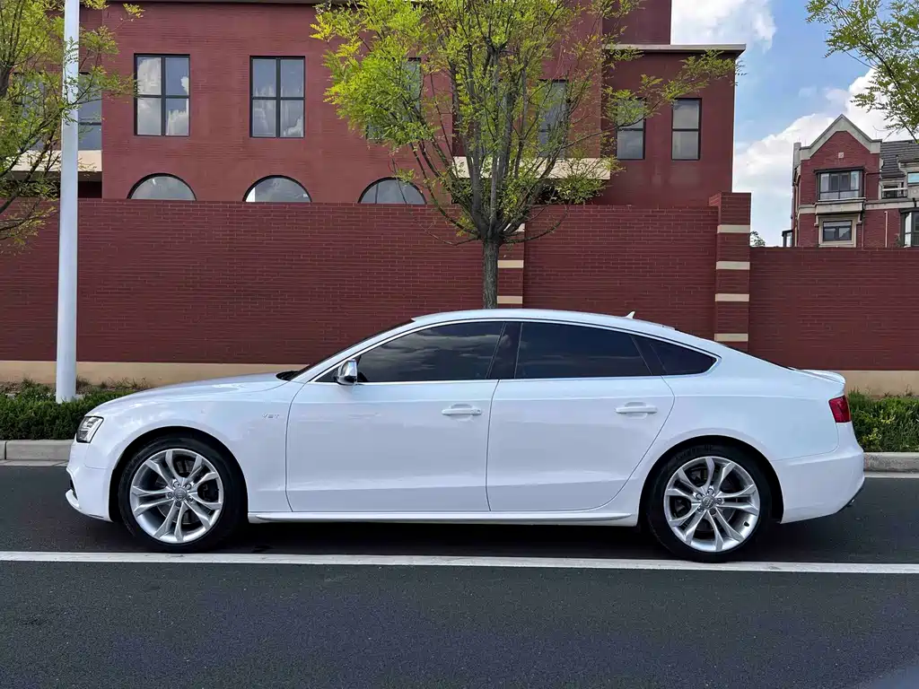 Audi S5 — миниатюра 15