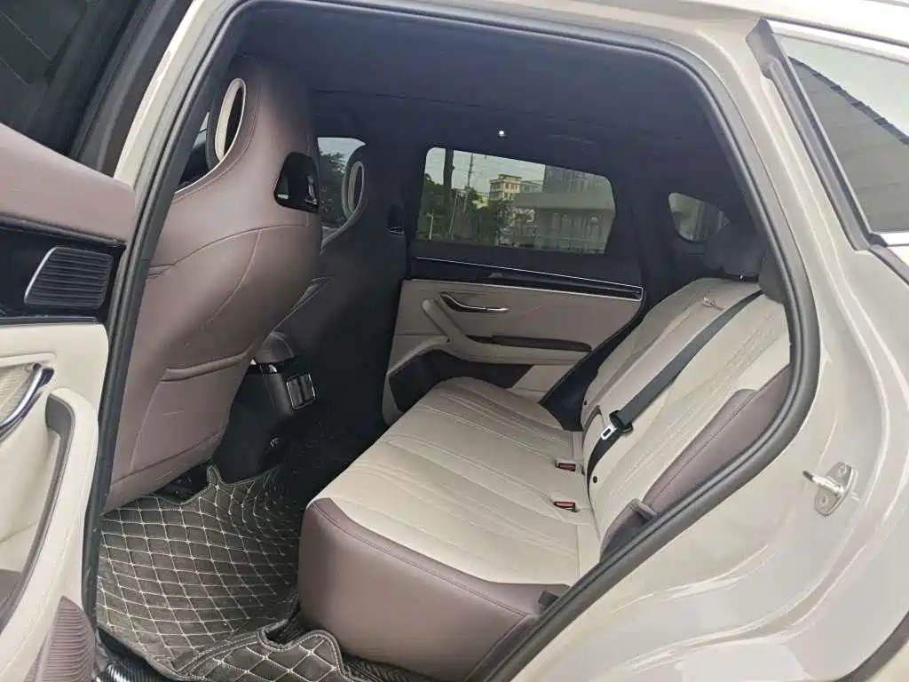 BYD SONGJIANG NEW ENERGY