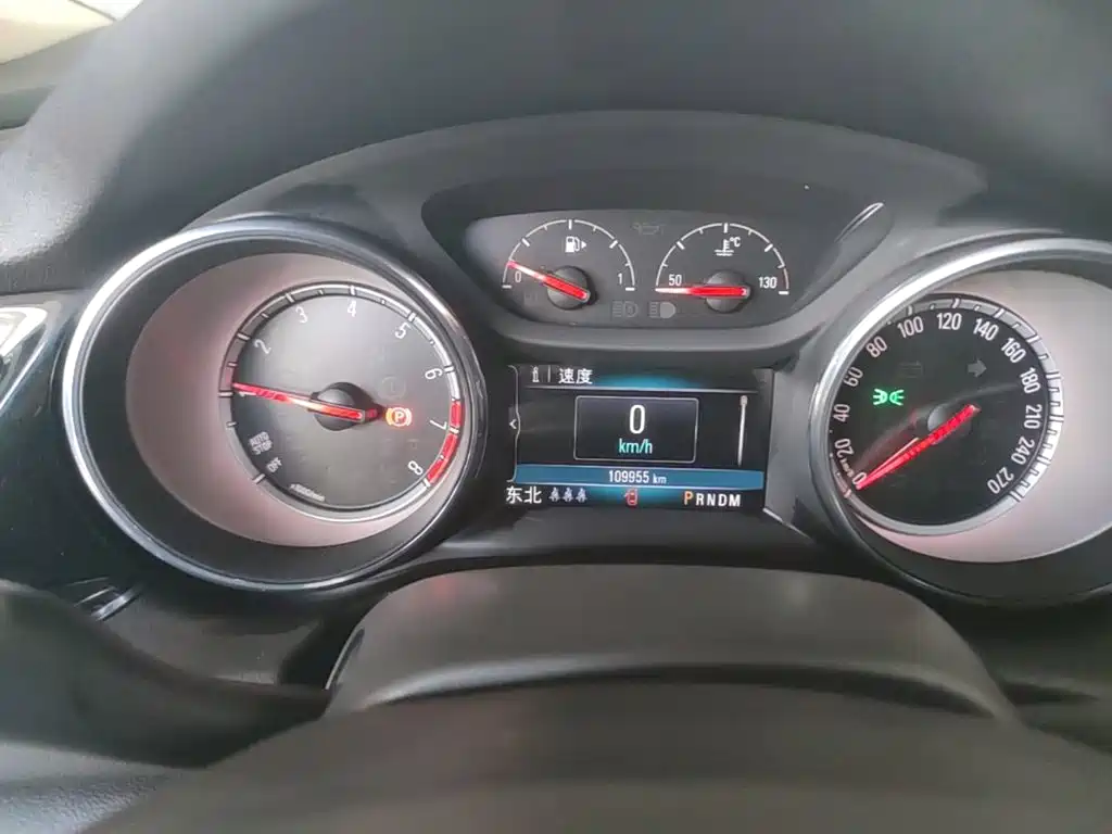 Buick Regal — миниатюра 12