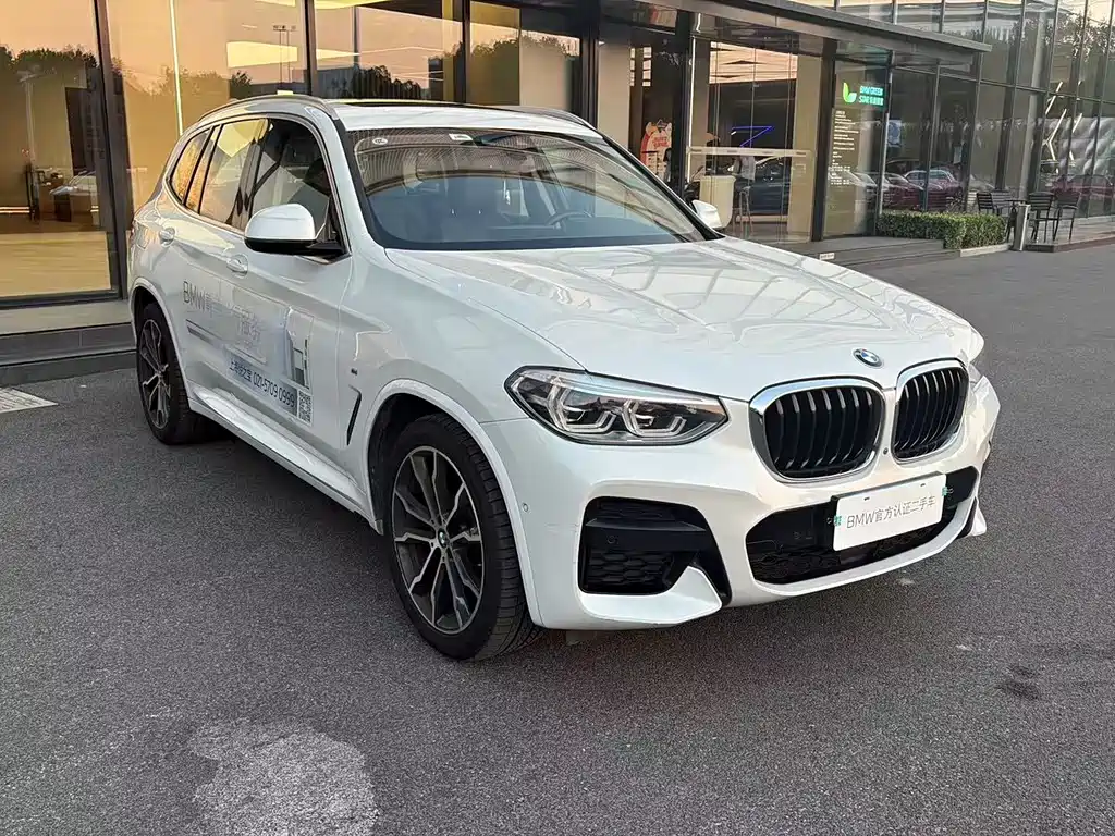 BMW X3 — миниатюра 5