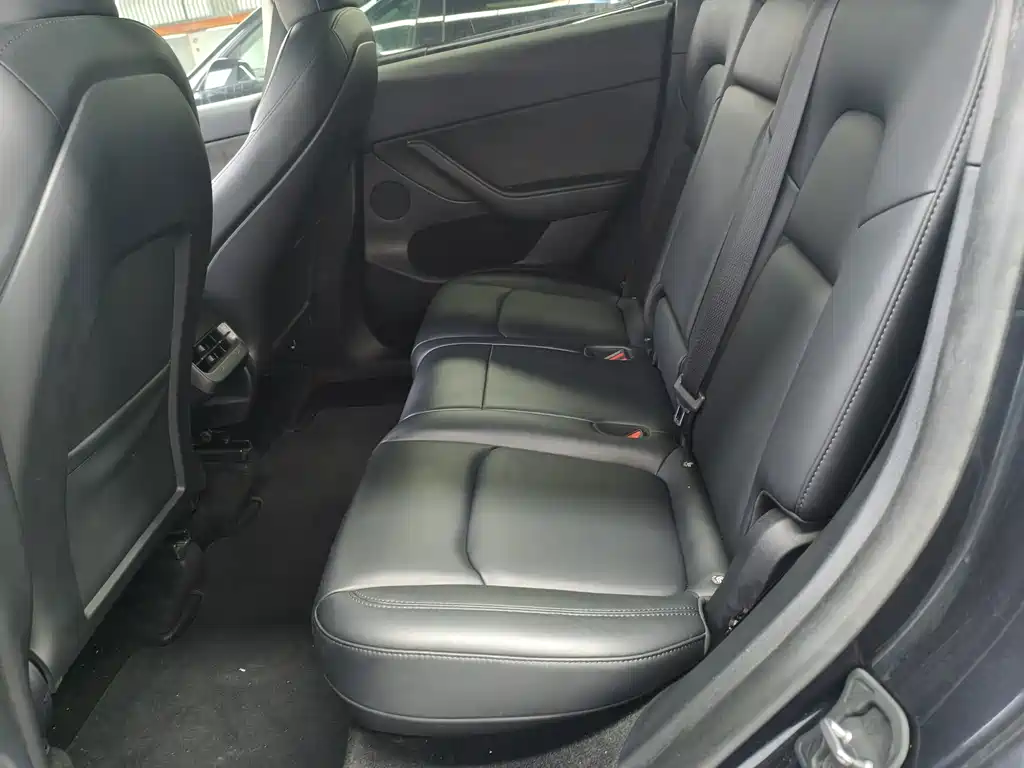 Tesla Model Y — миниатюра 6
