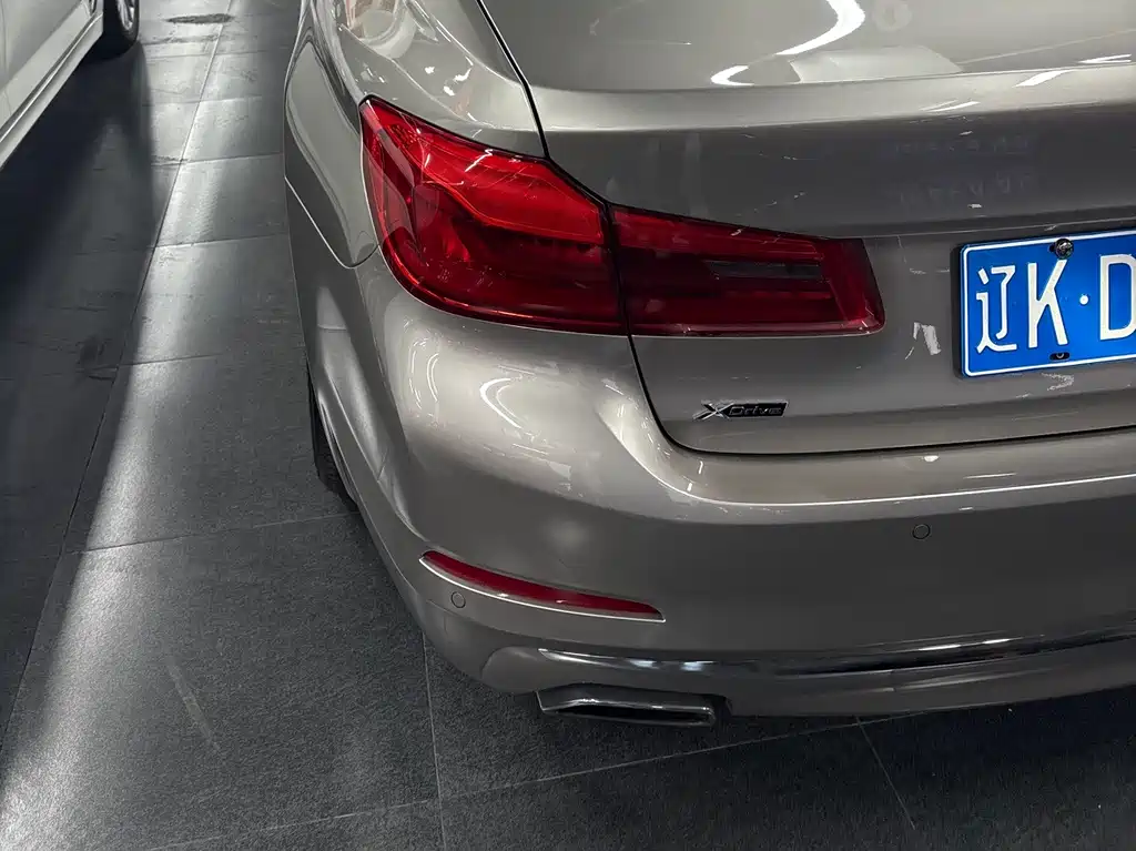 BMW 5 Series 5 2020 530Li xDrive Luxury