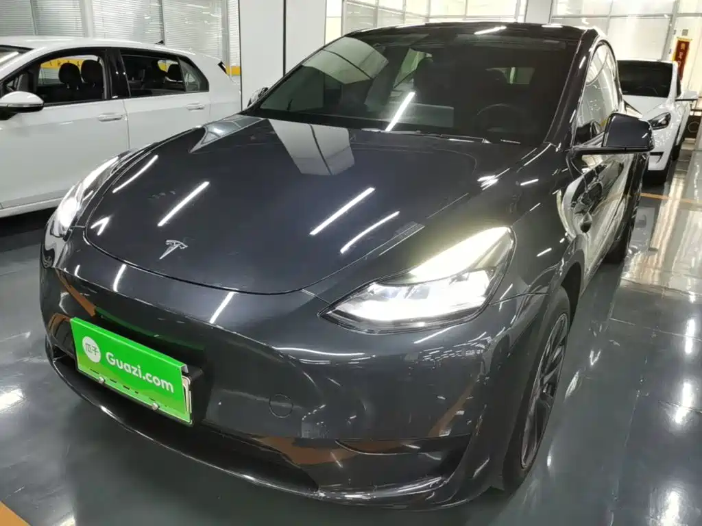 Tesla Model Y — миниатюра 2