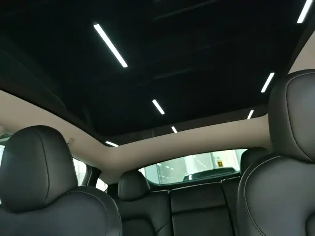 Tesla Model Y — миниатюра 18