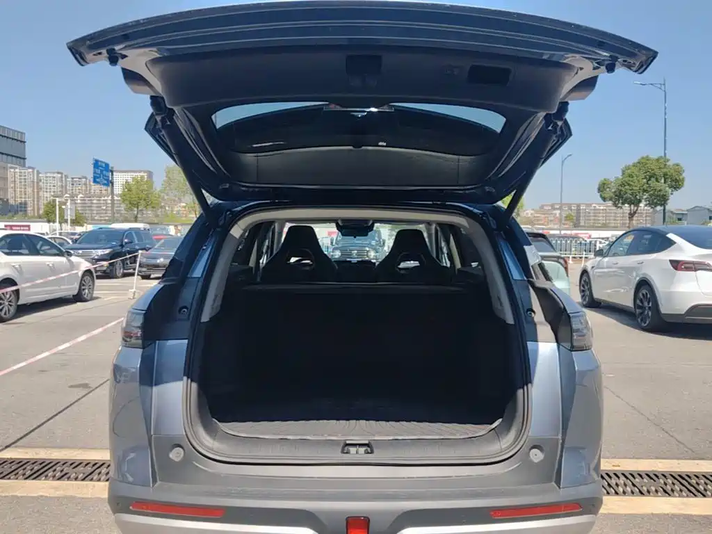 BYD Sealion 07 DM-i — миниатюра 19