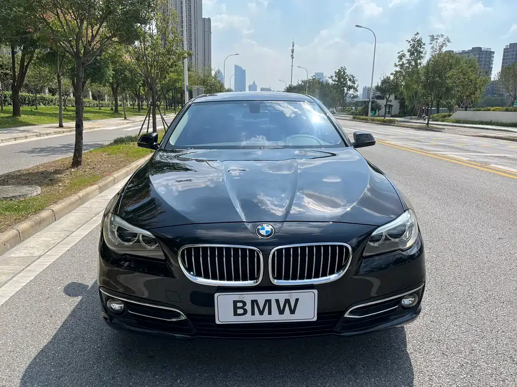 BMW 5 Series — миниатюра 2