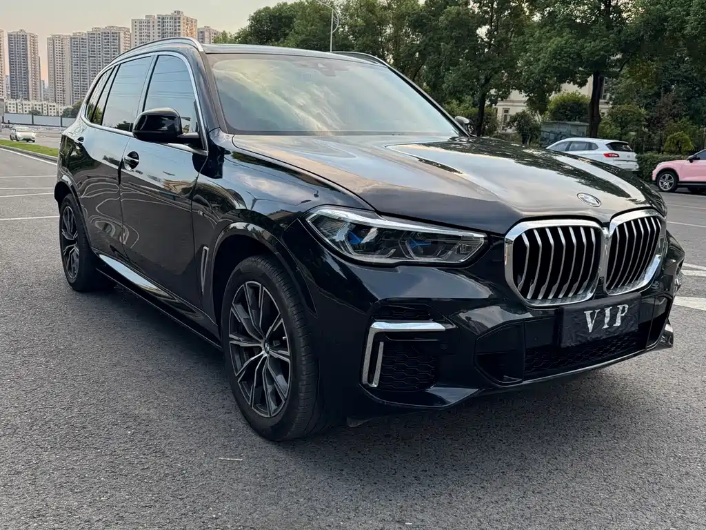 BMW X5 — миниатюра 4
