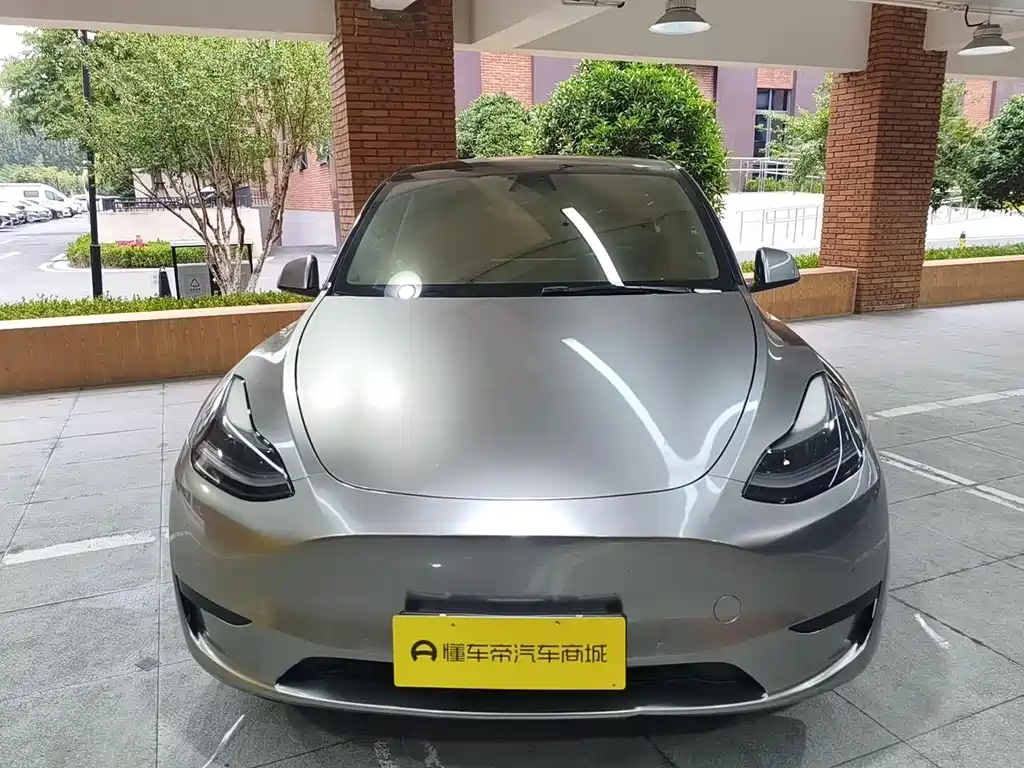 Tesla Model Y — миниатюра 7