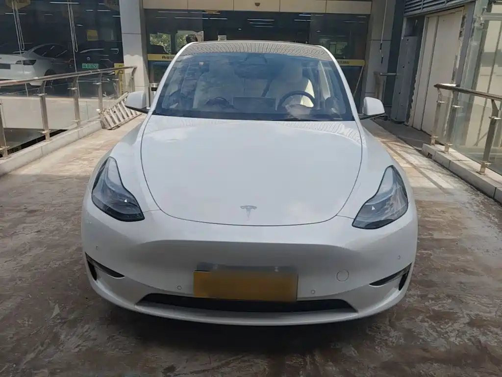 Tesla Model Y — миниатюра 3
