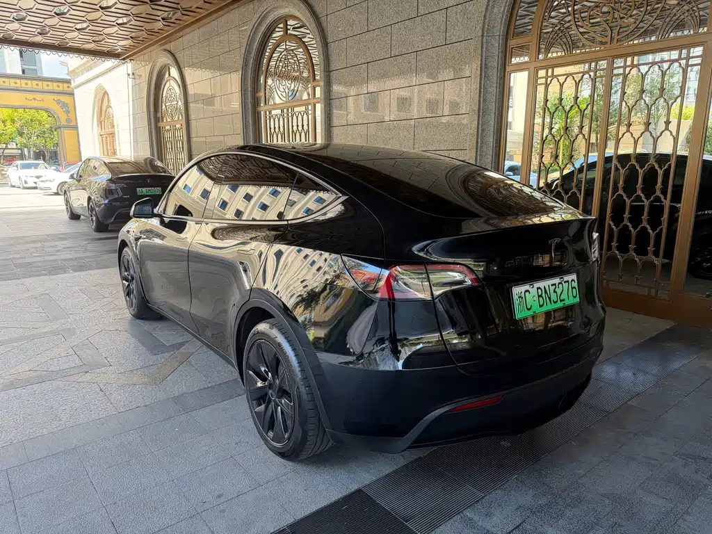 Tesla Model Y — миниатюра 9