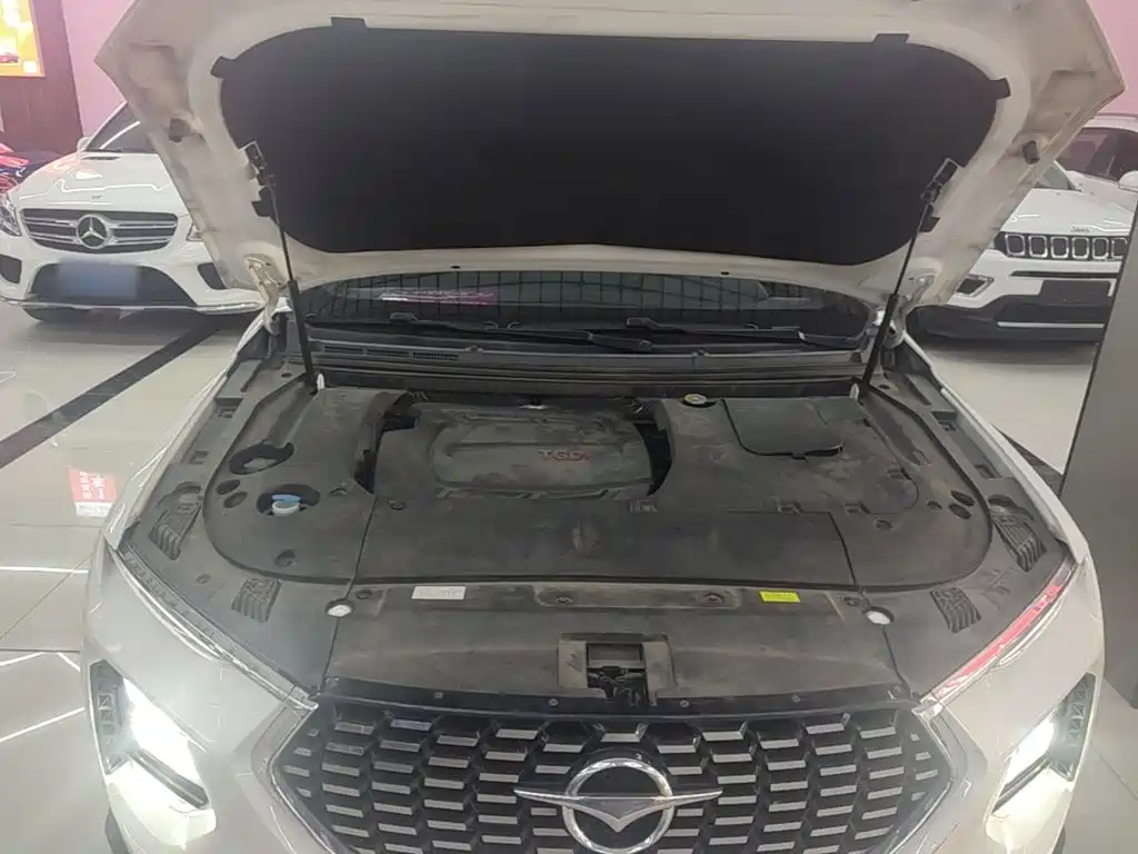 Haima Haima 8S — миниатюра 20