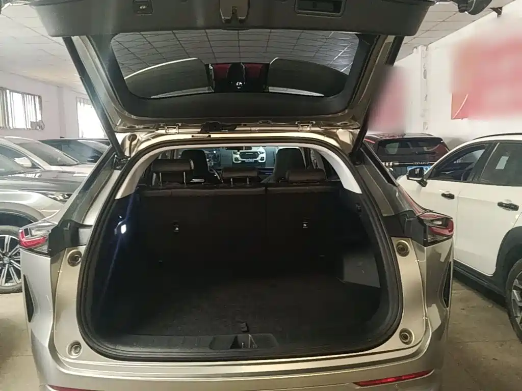 Oshan Oushang Z6 — миниатюра 19