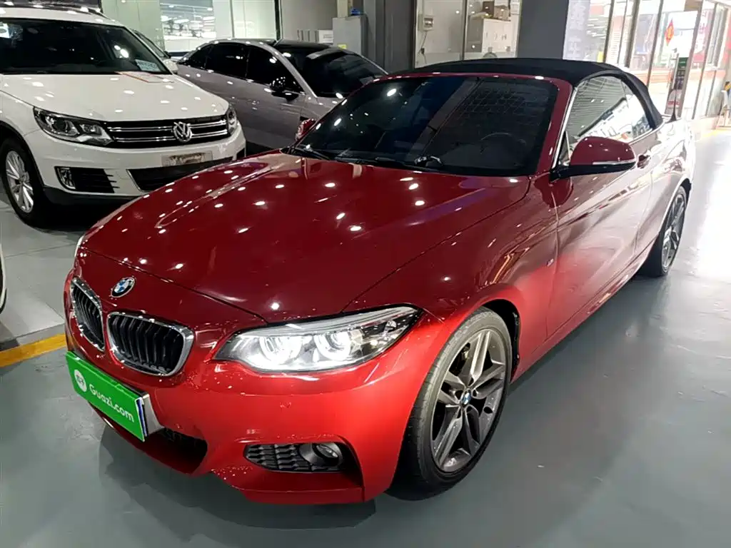 BMW 2 Series (Import) 2018