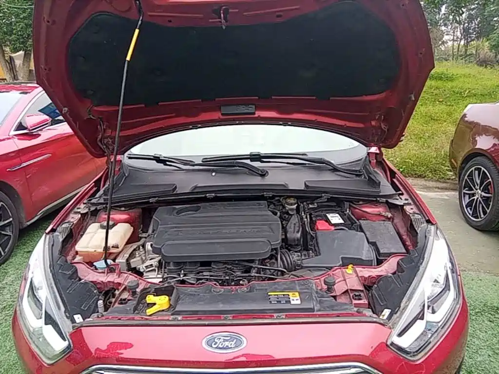 Ford Escort — миниатюра 20
