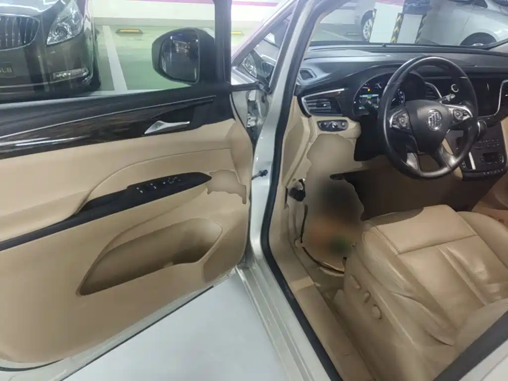 Buick GL8 — миниатюра 16