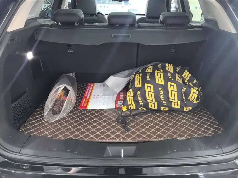 WEI PAI WEI BRAND VV5