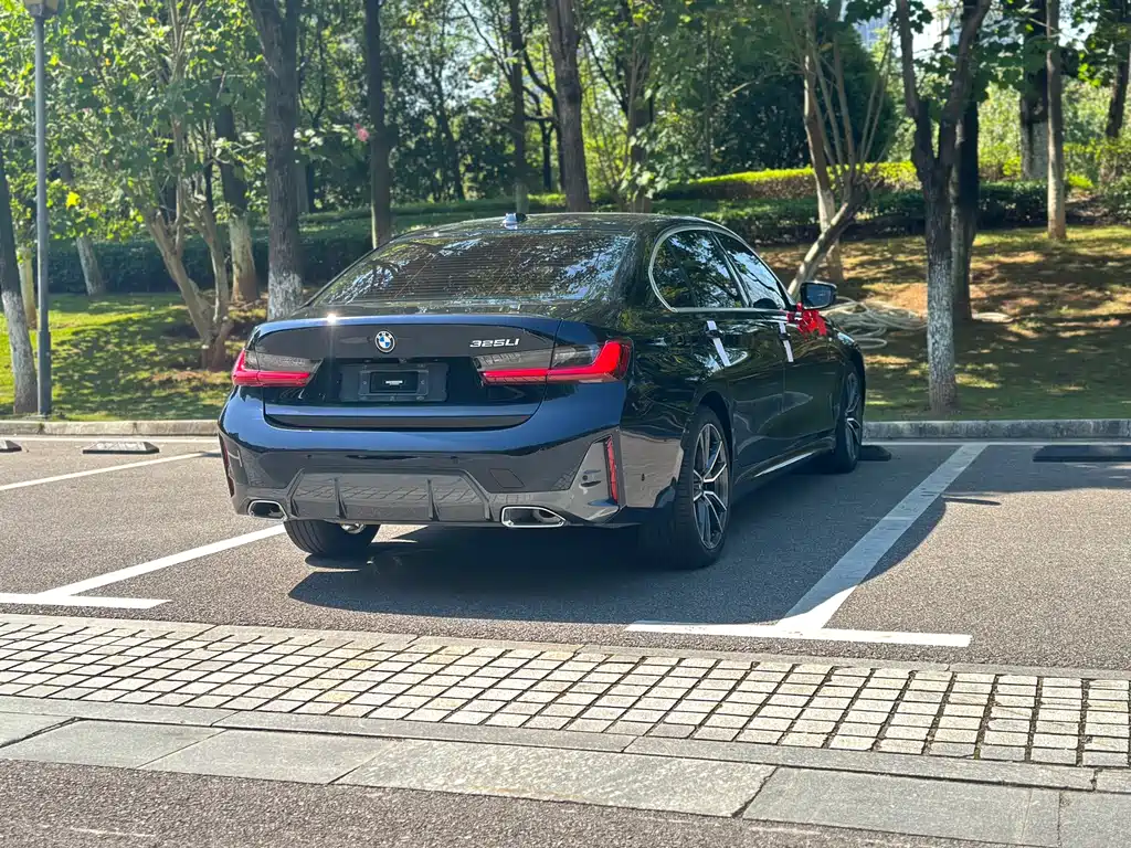 BMW 3 Series — миниатюра 11