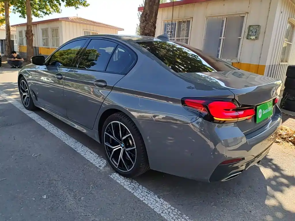 BMW 5 Series (Import) — миниатюра 5