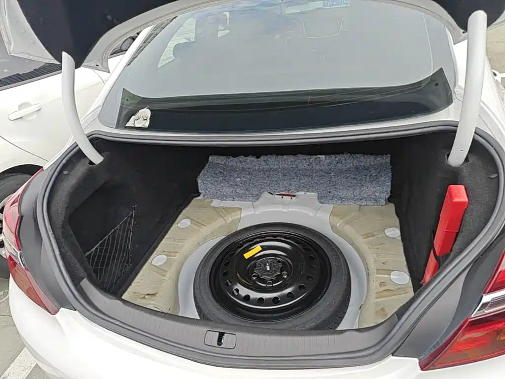 Buick Regal — миниатюра 19