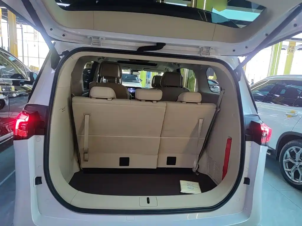 Buick GL8 Hybrid — миниатюра 19