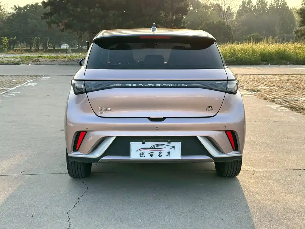 BYD Dolphin — миниатюра 5