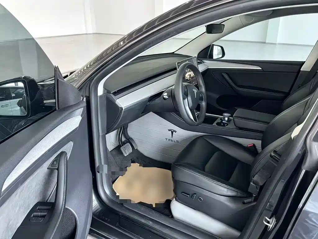 Tesla Model Y — миниатюра 15