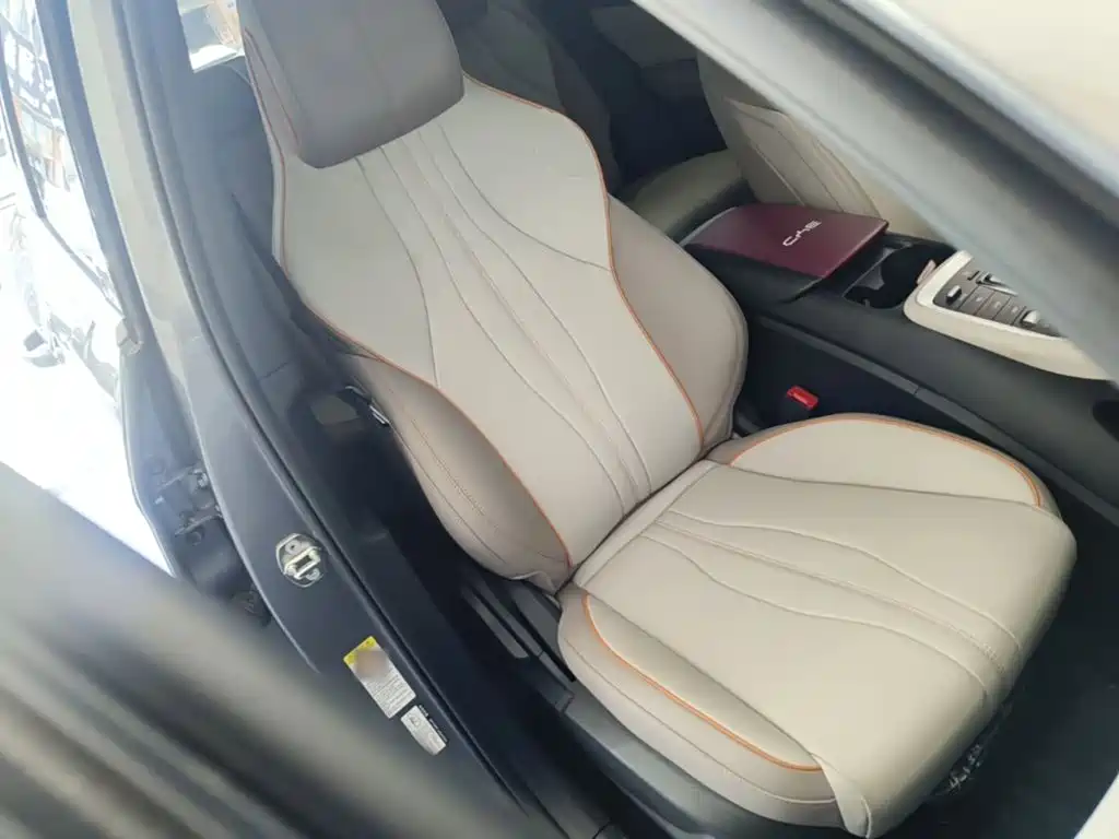 BYD Pro New Energy — миниатюра 25