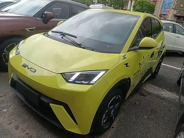 2024 BYD Seagull