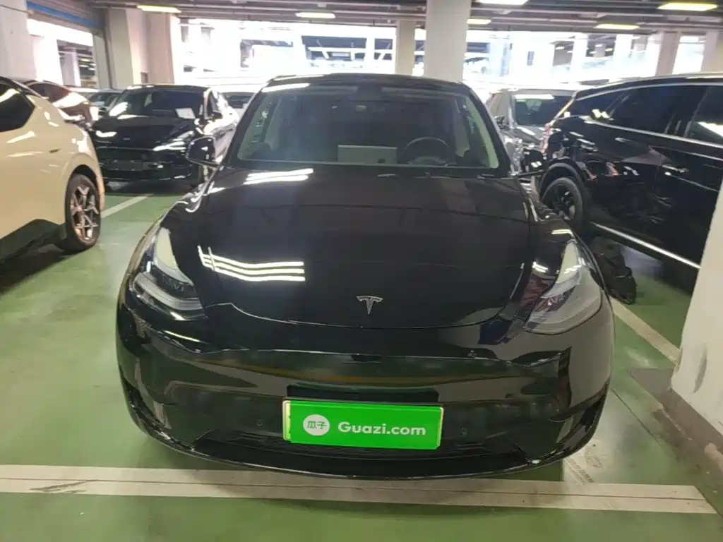Tesla Model Y — миниатюра 3