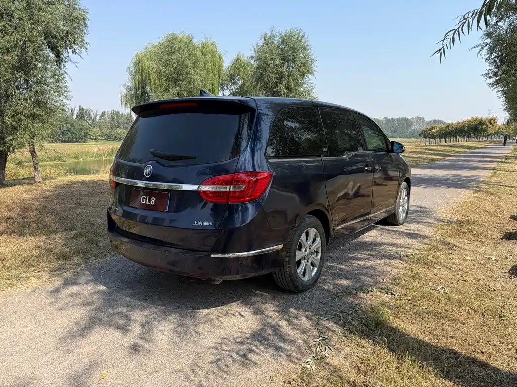Buick GL8 — миниатюра 6