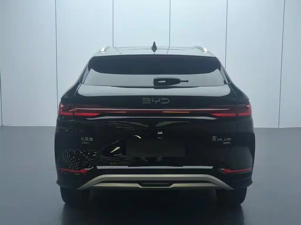 BYD PLUS New Energy — миниатюра 5