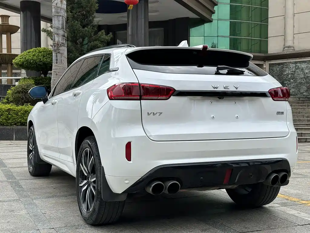 WEI PAI WEI BRAND VV7