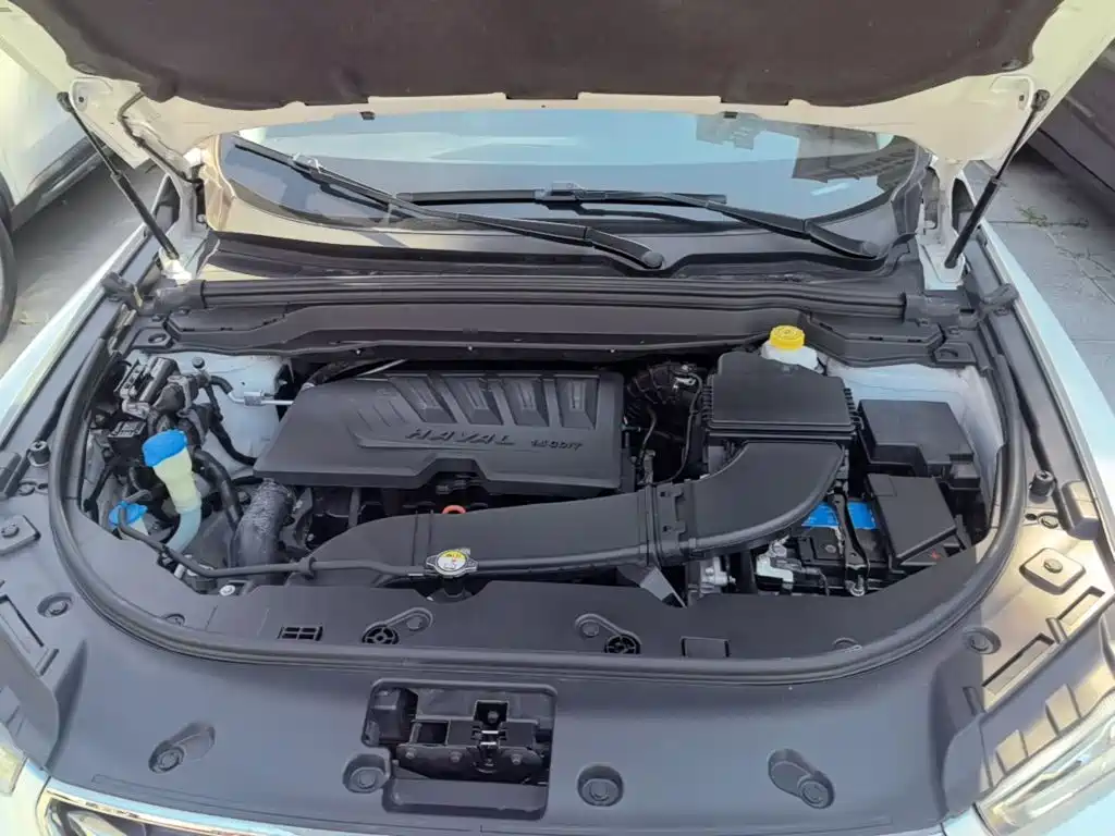 Haval H4 — миниатюра 20