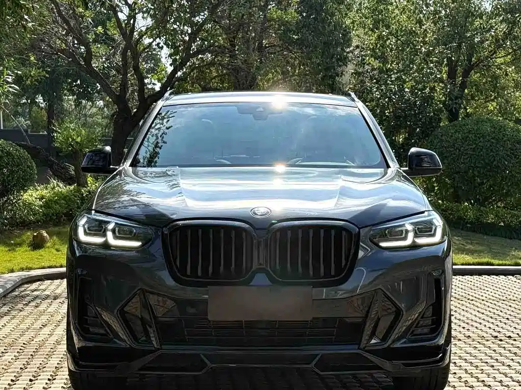 BMW X3 — миниатюра 2