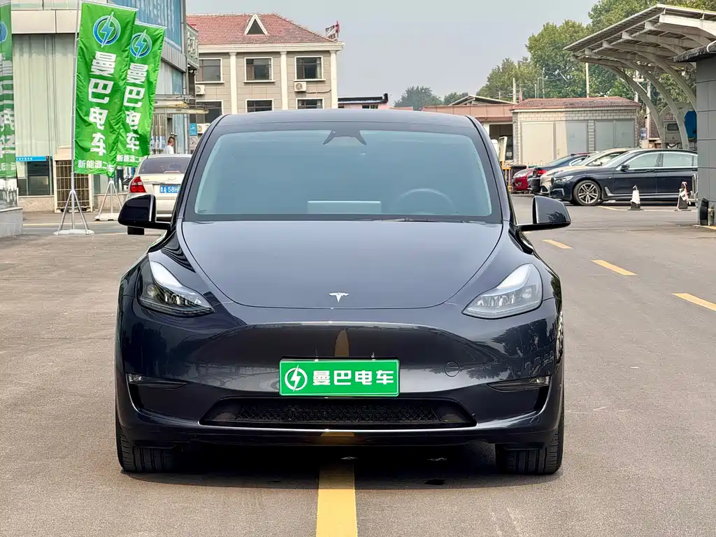 Tesla Model Y — миниатюра 2
