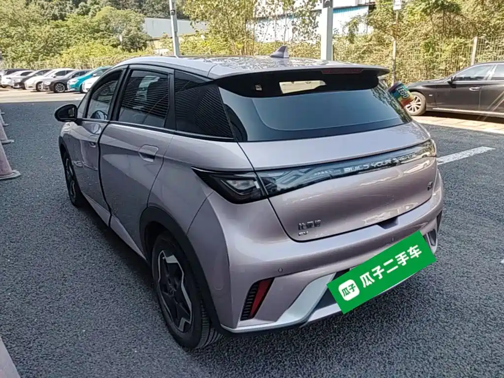 BYD Dolphin — миниатюра 5