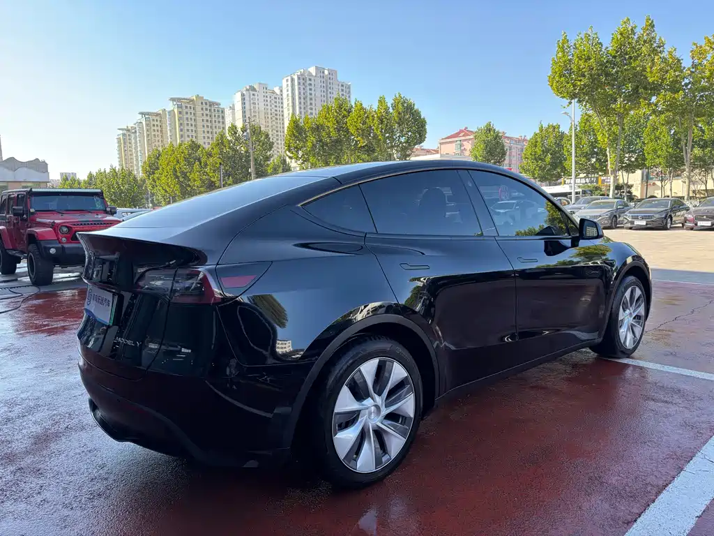 Tesla Model Y — миниатюра 6