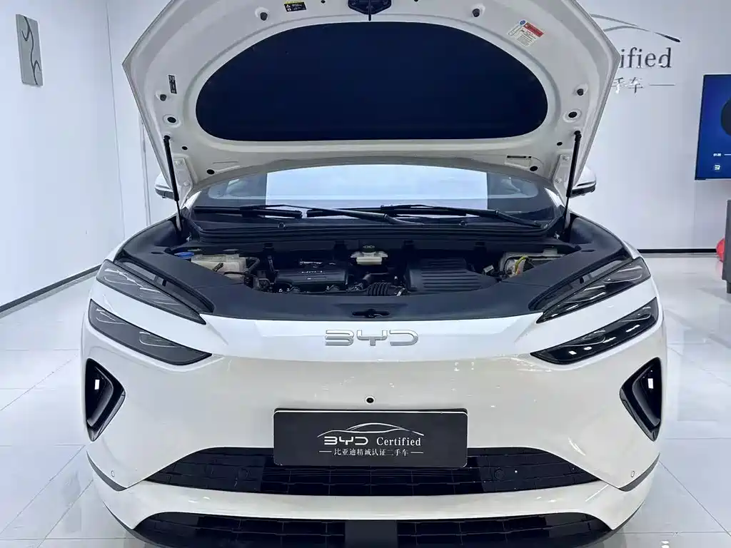 BYD Sealion 06 — миниатюра 9
