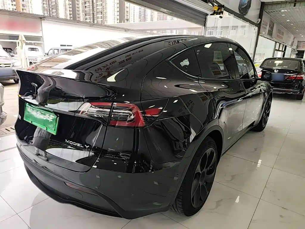 Tesla Model Y — миниатюра 7