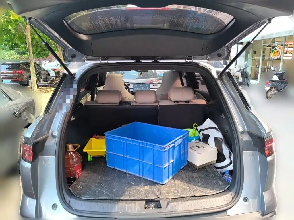BYD Pro New Energy — миниатюра 10