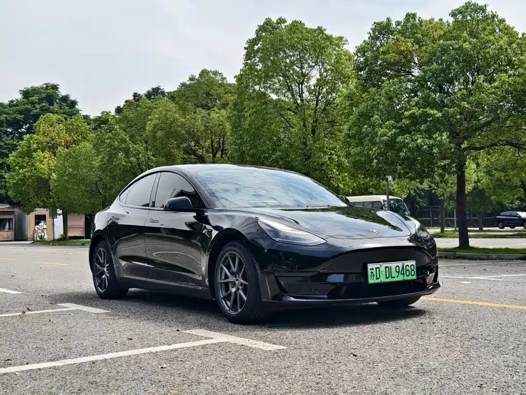 Tesla Model 3 — миниатюра 2