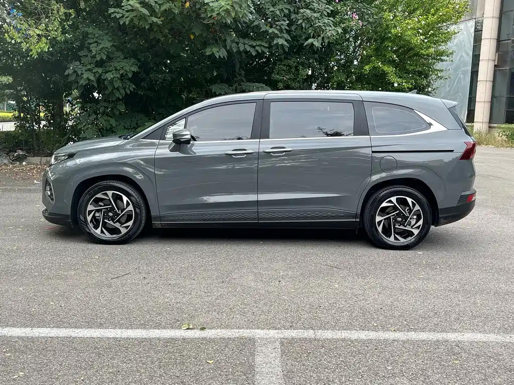 Hyundai Custo — миниатюра 3
