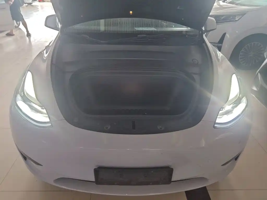 Tesla Model Y — миниатюра 20