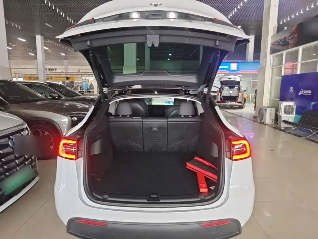 Tesla Model Y — миниатюра 19