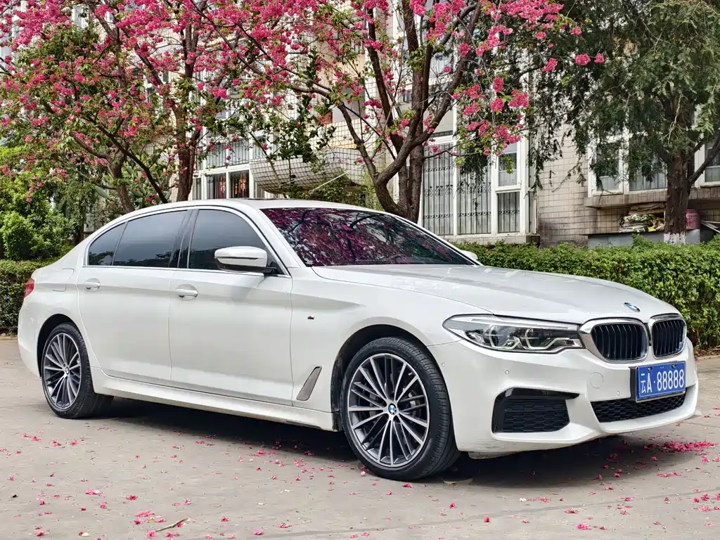 BMW 5 Series 5 2020 530Li Premium M Sport