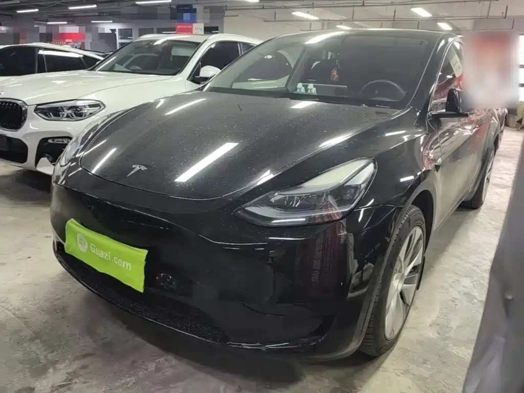 Tesla Model Y — миниатюра 2